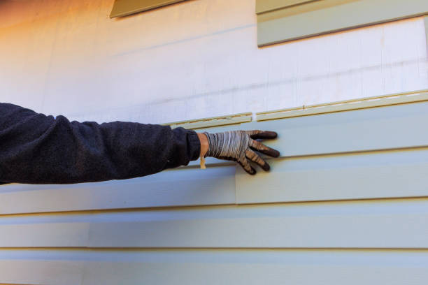 Best Wood Siding Installation  in Frankfort, IL